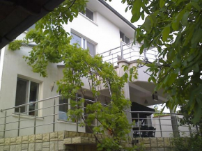 vila Irina